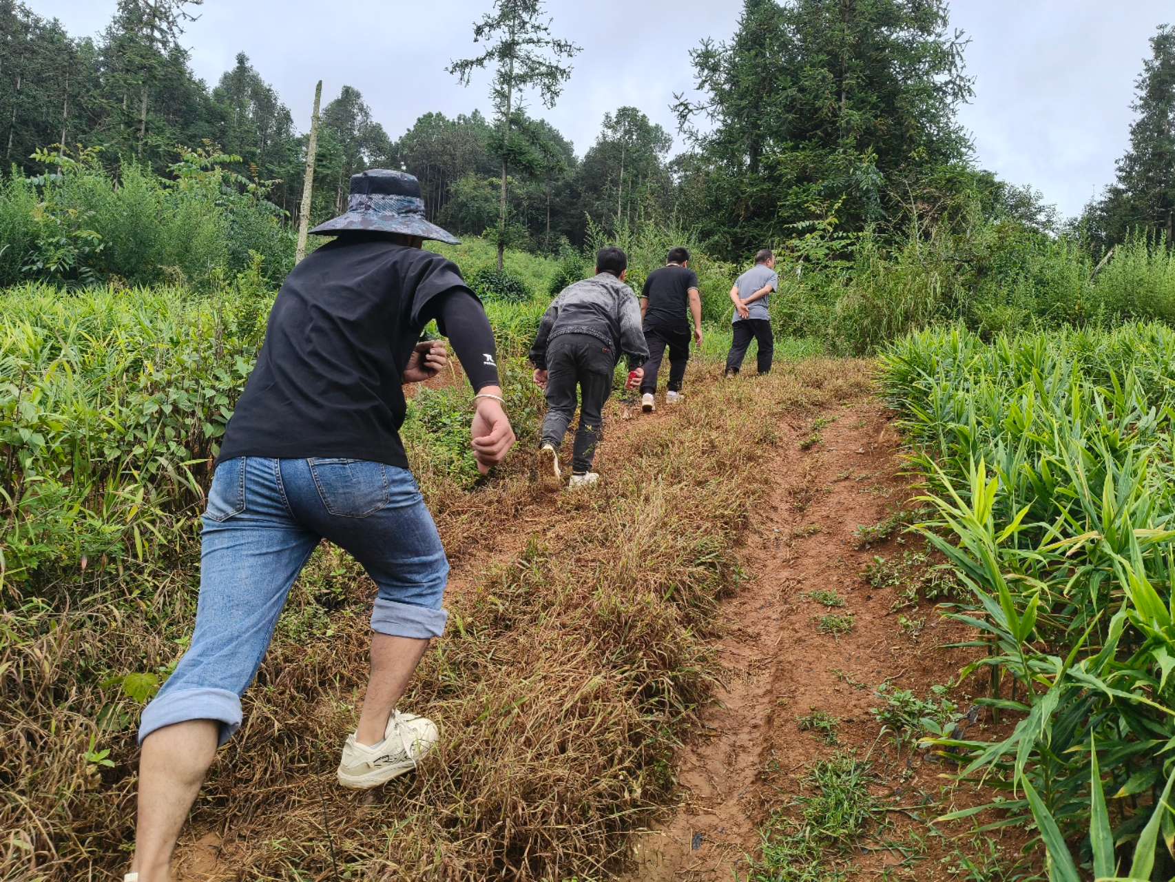 种植基地调研现场