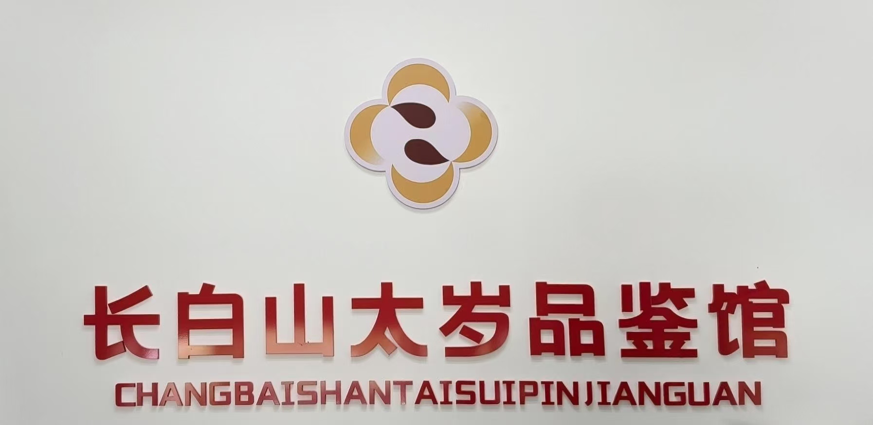 走访长白山太岁品鉴馆：一款“活体太岁”发酵饮品，如何打破认知门槛？